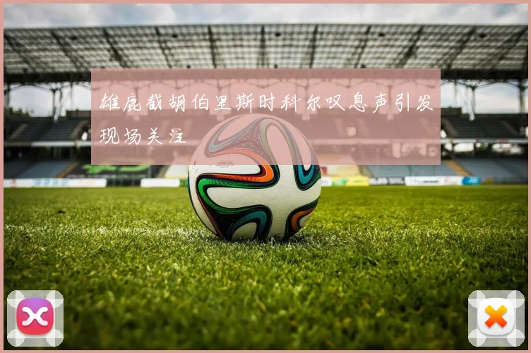 雄鹿截胡伯里斯时科尔叹息声引发现场关注