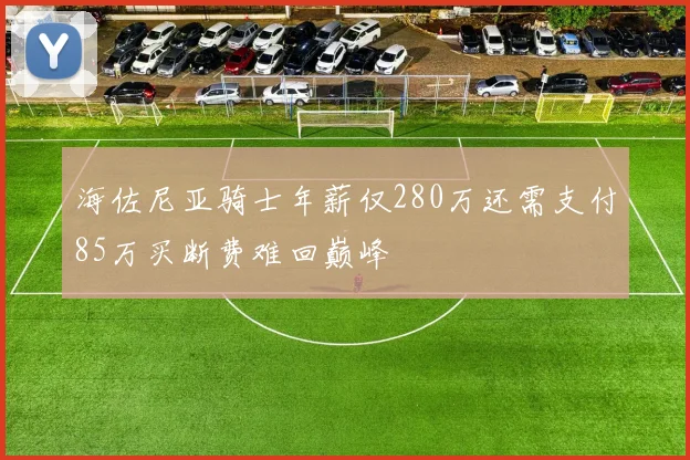 海佐尼亚骑士年薪仅280万还需支付85万买断费难回巅峰